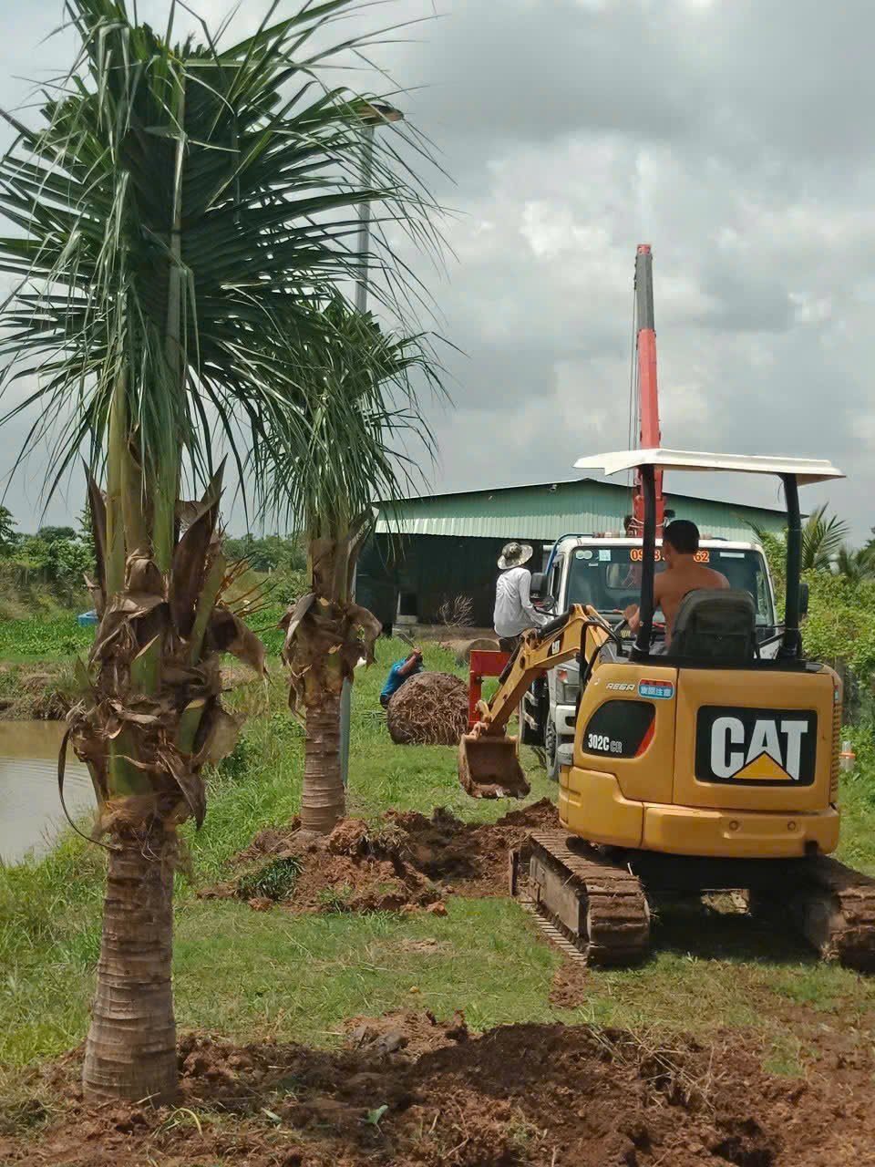 Thiết Kế Thi Công Trọn Gói Cây Xanh